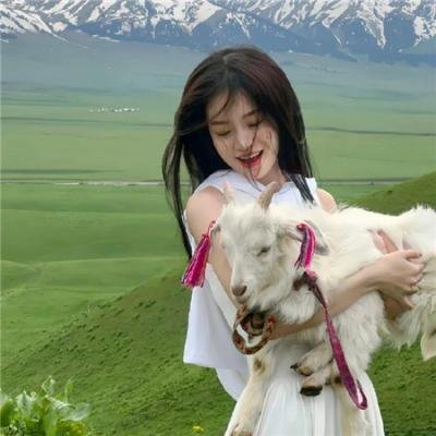 全能纳米机械狗